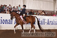 08yn-12729 thumbnail