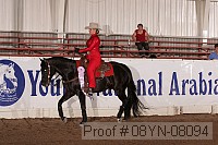 08yn-08094 thumbnail