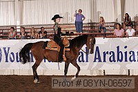 08yn-06597 thumbnail