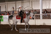 08yn-06603 thumbnail