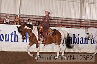 08yn-12662 thumbnail