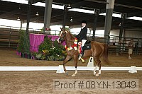 08yn-13049 thumbnail