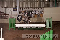08yn-19729 thumbnail