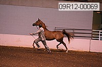 09r12-00069 thumbnail
