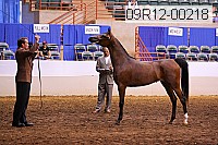 09r12-00218 thumbnail