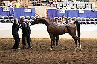 09r12-00311 thumbnail