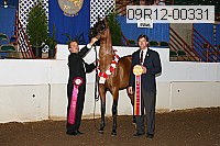 09r12-00331 thumbnail
