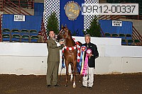 09r12-00337 thumbnail