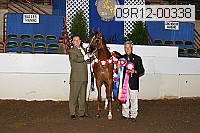 09r12-00338 thumbnail