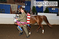 09r12-00339 thumbnail