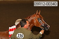 09r12-00340 thumbnail