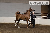 09r12-00358 thumbnail