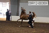 09r12-00359 thumbnail