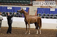 09r12-00360 thumbnail