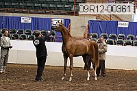 09r12-00361 thumbnail