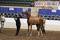 09r12-00362 thumbnail