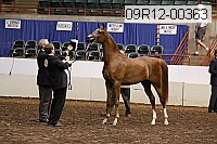 09r12-00363 thumbnail