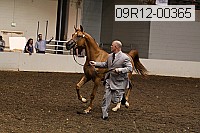09r12-00365 thumbnail