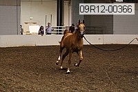 09r12-00366 thumbnail