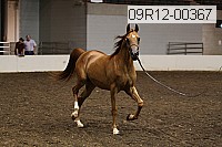 09r12-00367 thumbnail