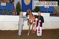 09r12-00368 thumbnail