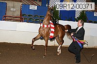 09r12-00371 thumbnail