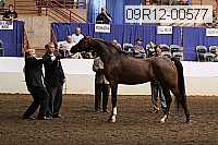 09r12-00577 thumbnail