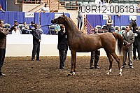 09r12-00618 thumbnail