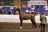 09r12-00704 thumbnail