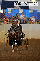 09r12-00723 thumbnail