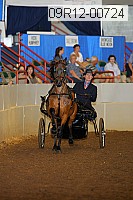 09r12-00724 thumbnail