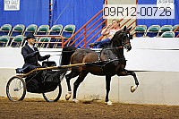 09r12-00726 thumbnail