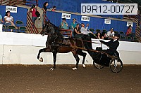 09r12-00727 thumbnail