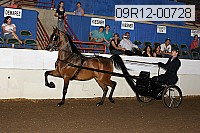 09r12-00728 thumbnail