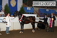 09r12-00729 thumbnail