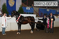 09r12-00730 thumbnail