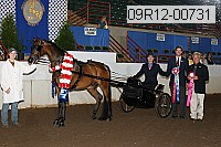 09r12-00731 thumbnail