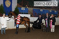 09r12-00732 thumbnail
