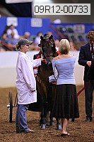 09r12-00733 thumbnail