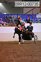 09r12-00735 thumbnail