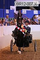 09r12-00736 thumbnail