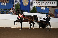 09r12-00737 thumbnail