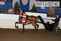 09r12-00740 thumbnail