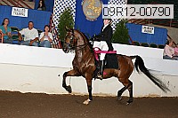 09r12-00790 thumbnail