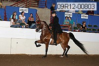09r12-00803 thumbnail