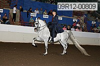 09r12-00809 thumbnail