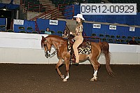 09r12-00929 thumbnail