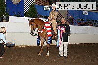 09r12-00931 thumbnail