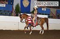 09r12-00932 thumbnail