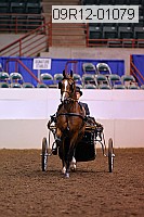 09r12-01079 thumbnail
